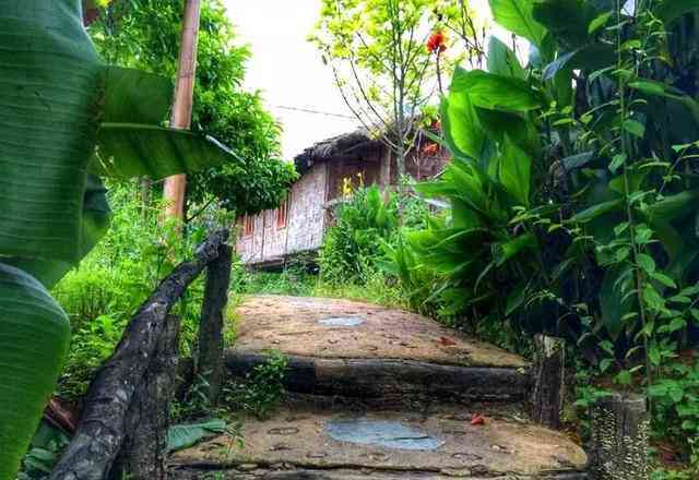 云南临沧市芭蕉自然村：探寻古朴乡村的魅力与韵味