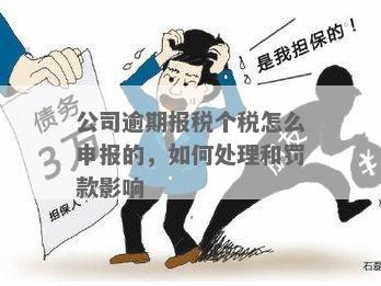 小规模公司逾期报税的影响及应对措：哪些后果？