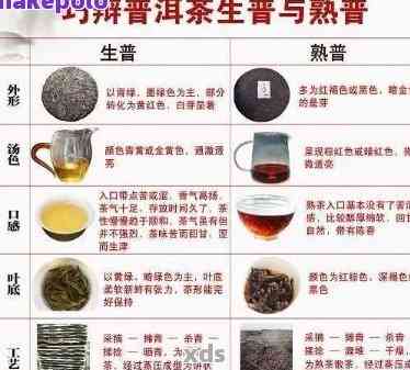 普洱茶：别名及其与相关茶叶品种的区别解析