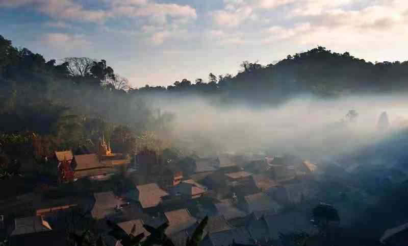 普洱山：自然风光、历文化与茶艺魅力的综合体验