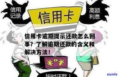 已还信用卡清算后显示逾期，如何解决还款问题