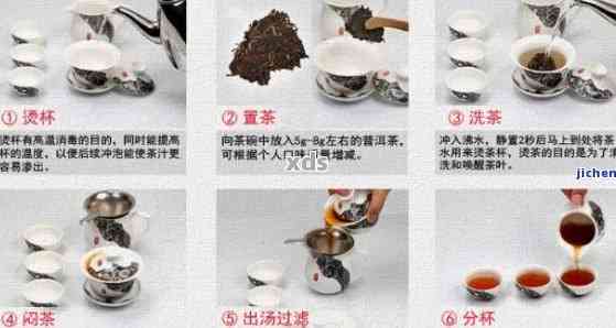 普洱茶品鉴与冲泡：如何选择、品尝与体验完整过程