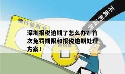 深圳个税申报逾期解决方案指南：如何处理税务逾期问题？