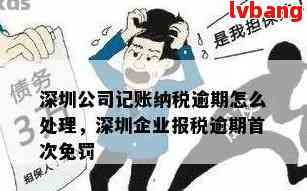 深圳税务逾期申报怎么处罚