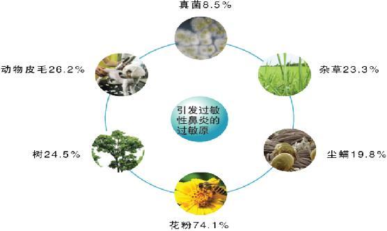 中生代生命特征与普适性的综合研究：从生物学、遗传学和环境适应的角度探讨