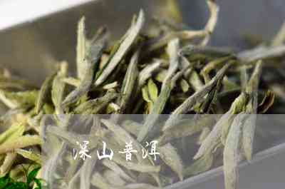 深哥普洱茶：深山与深土牌普洱茶生茶精选