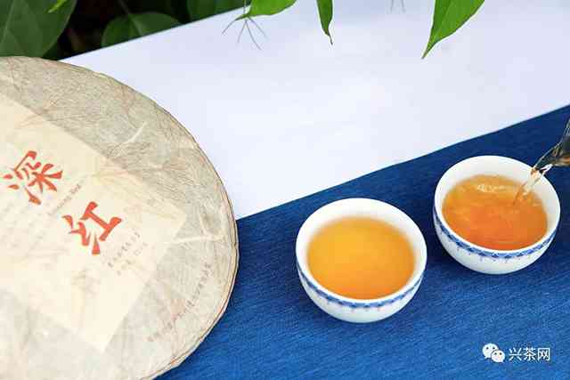 深哥普洱茶：深山与深土牌普洱茶生茶精选