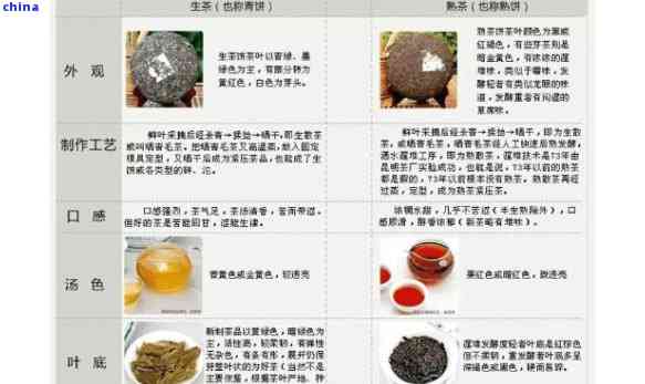 普洱茶初学者必备：系统化知识与入门指南