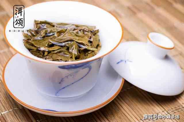 输出普洱茶