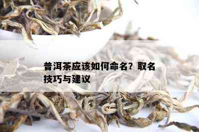 如何为自己选购的普洱茶命名？详细指南助你成为茶叶取名达人！