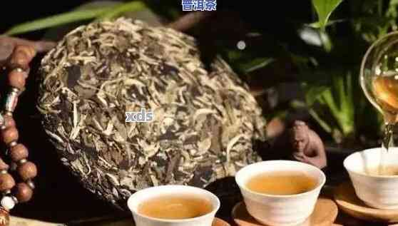 普洱茶取个什么名字好？——探寻普洱茶的魅力与文化底蕴