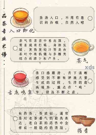 普洱茶专业术语与短语：普洱茶用语大全