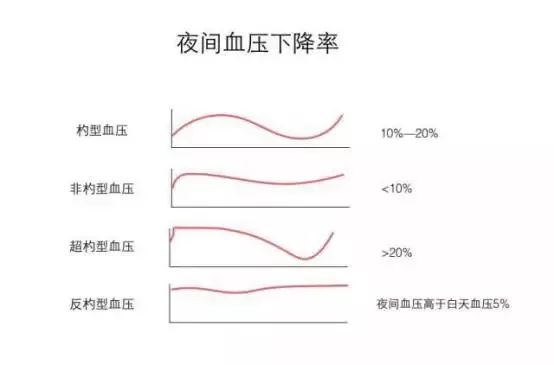 普洱茶对心率的影响：加快还是减缓？喝茶前后的心率变化如何？