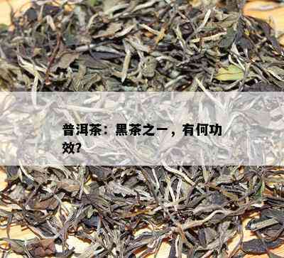 黑荣普洱茶：全解析与功效作用