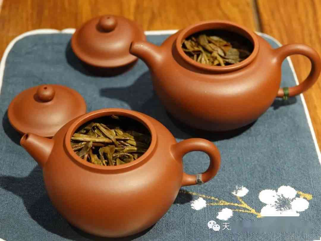 鑫晟普洱茶