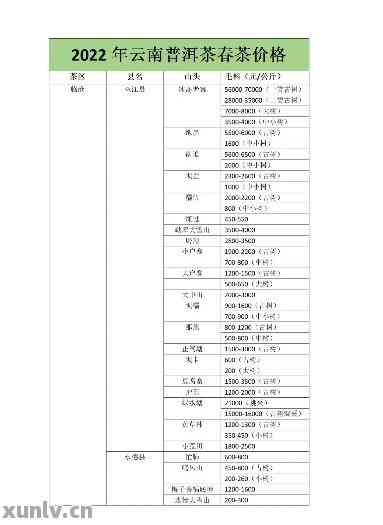 瑞荣号普洱茶全方位价格解析：品种、年份、产地等多方面详细解读