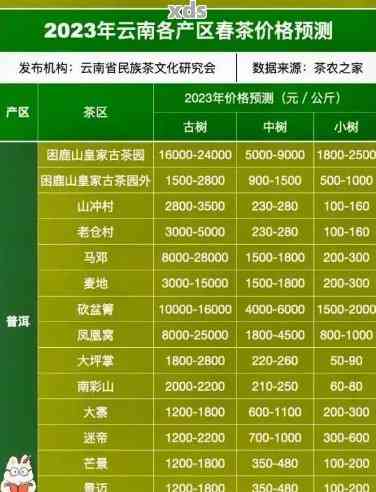 瑞荣号普洱茶全方位价格解析：品种、年份、产地等多方面详细解读