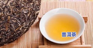 瑞子普洱茶