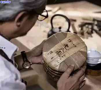 普洱茶远之：全方位了解普洱茶的历、制作工艺与品鉴技巧