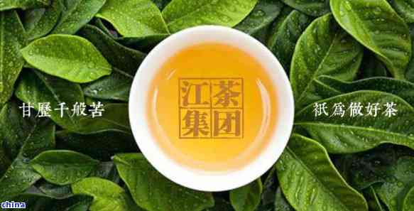 江茗普洱茶