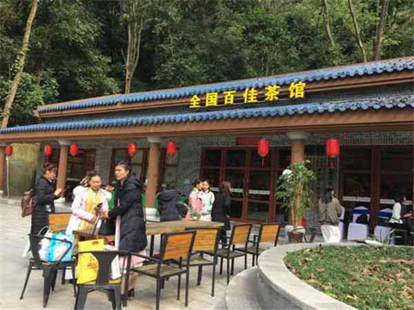 瑞丽市里山茶业：探索高品质茶叶的诞生之地与茶文化底蕴