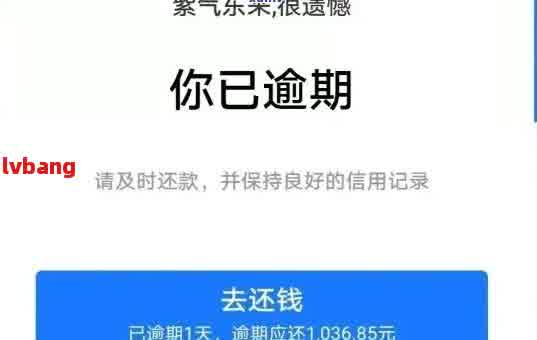 逾期怎么回事：宝付分期说我严重逾期的原因和影响有哪些？