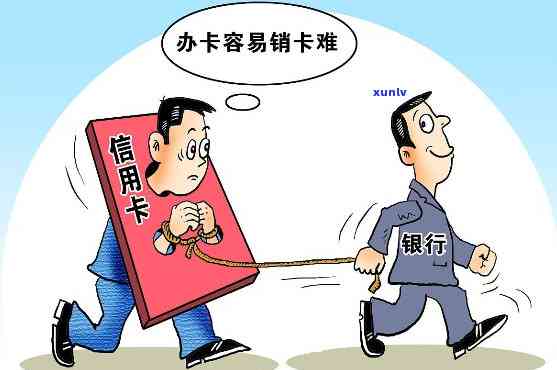 逾期信用卡政策调整：预测未来走势，如何应对当前挑战？