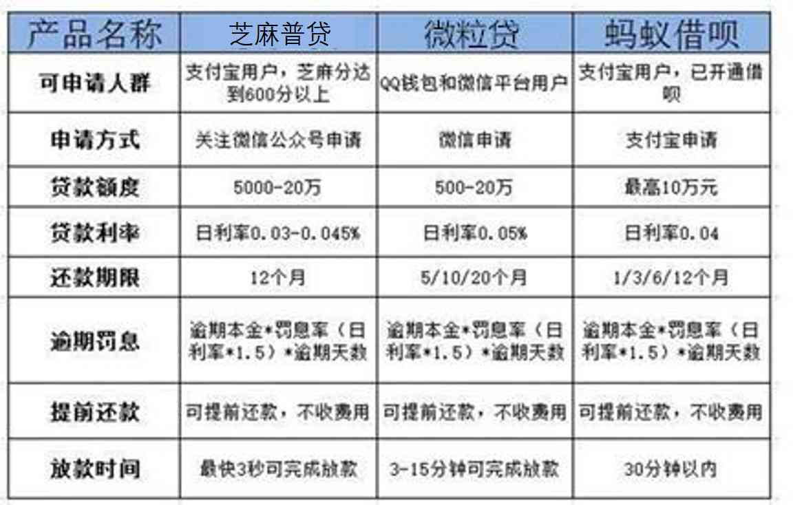 如何一年内还清20万网贷负债：策略与方法