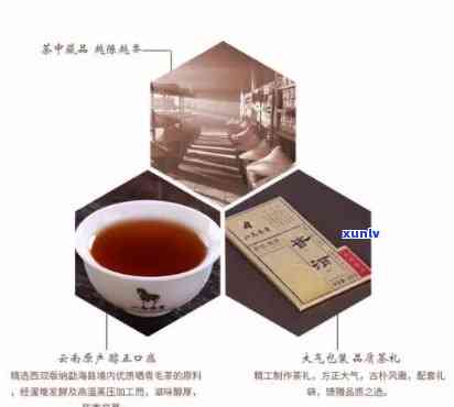 六顺普洱茶：品种、产地、口感、功效与泡法，一文全解析！