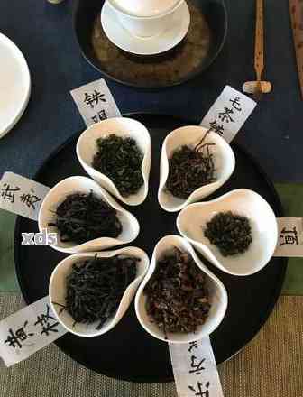 开春之一罐普洱茶：选择、制作与保存的全攻略，让你品鉴更完美的茶香