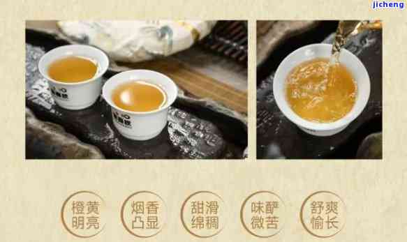 百茶堂普洱茶：品种、功效、泡法、品鉴全解析，助您成为普洱茶专家