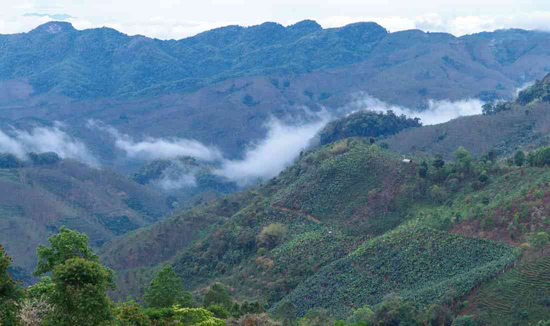 山凹凹普洱茶-山凹还是山凹