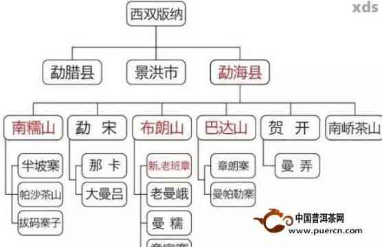 荒山普洱茶：片区、特点、价格、茶类及概念解析