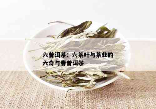 普洱茶六奇功效奇，六顺云南山普洱茶，六味独特品鉴享