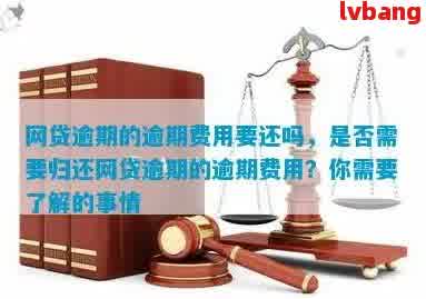 网贷逾期费用：合法性、计算方法与减免途径详解，解答用户疑虑