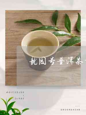 云南普洱茶龙园是不是茶叶？