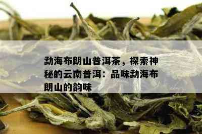 云南普洱茶：布朗山的秘境与醇香