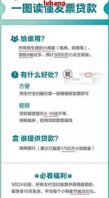 网商贷分期12期的原因及优势解析：为什么选择12期还款？