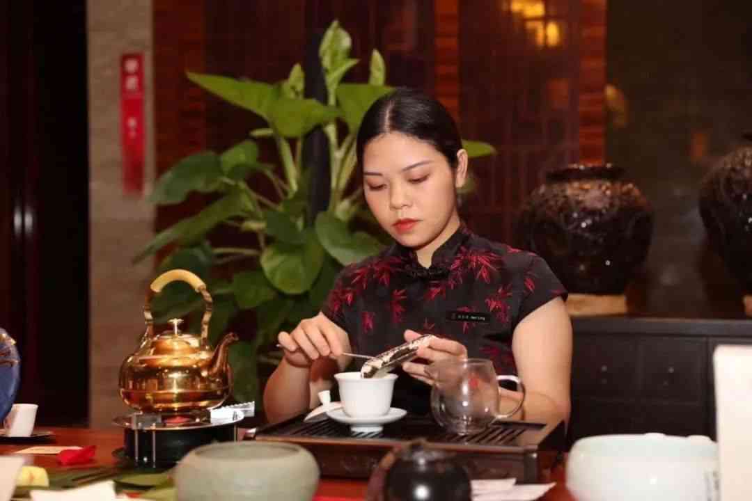 普洱茶少华：制茶大师、老班章，品尝女士的高品质普洱茶。