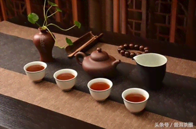 探索普洱茶的魅力：坐馆品茗体验