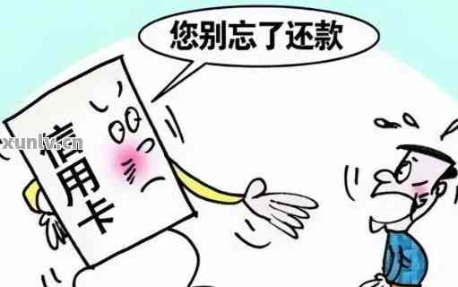 无卡还款：如何协助他人完成信用卡还款？