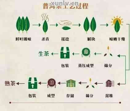 全面解析：普洱茶新工艺的鉴别方法与品质评价，让你轻松成为专业鉴家！