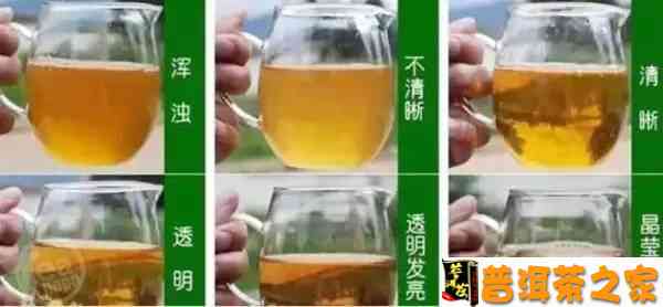 普洱茶与自烤酒：一种独特的饮品体验及制作方法解析