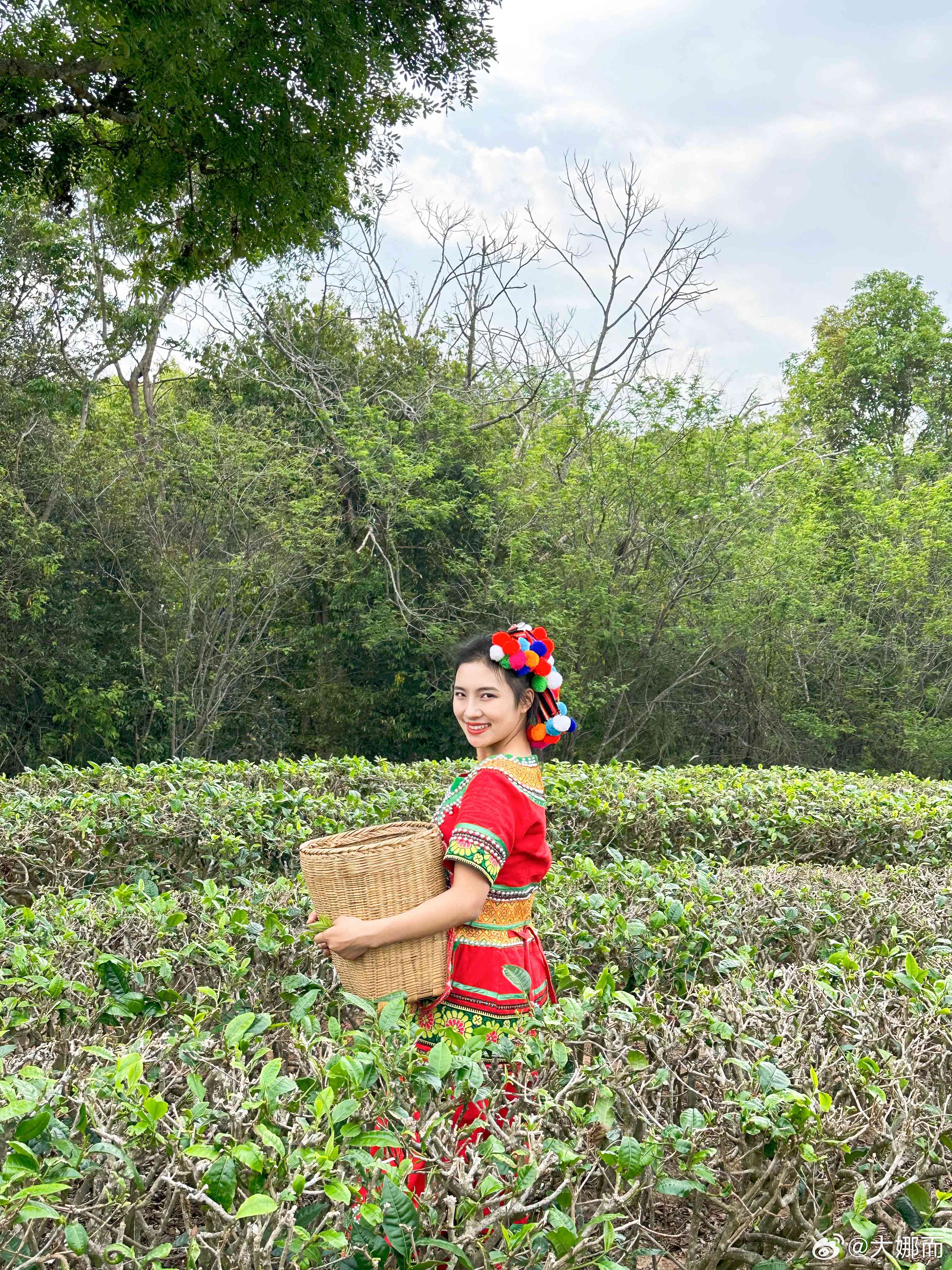 普洱茶小妹