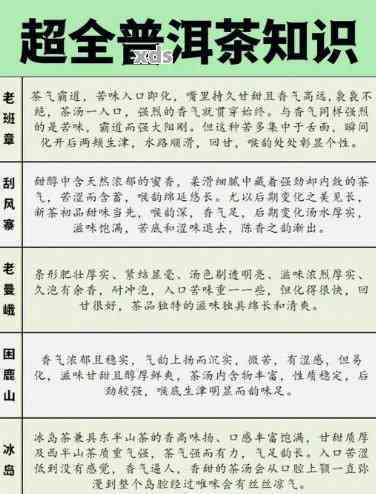 深入了解普洱茶：从入门到精通的全面指南