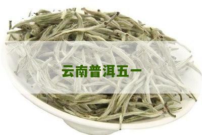 五一茶普洱茶