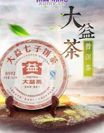 大益普洱茶收藏全攻略：从入门到精通，解答用户所有疑问