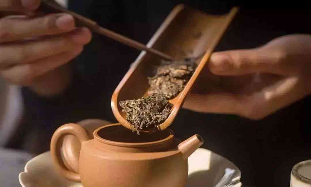 青皮普洱茶怎么泡：冲泡方法与功效全解析