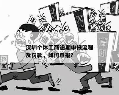 深圳个体户逾期申报流程与注意事项：如何进行合规申报