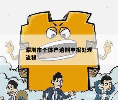 深圳个体户逾期申报流程与注意事项：如何进行合规申报